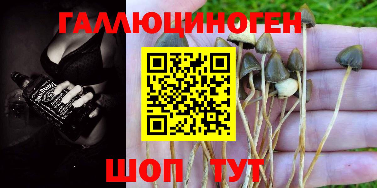 Псилоцибиновые грибы Magic Shrooms Минеральные Воды