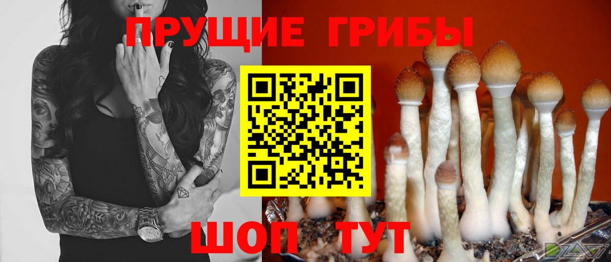 Галлюциногенные грибы прущие грибы  дарнет шоп  Минеральные Воды  Вход с VPN 